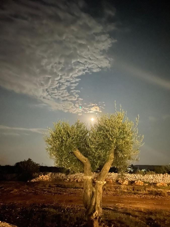 Dimora Carucci Daire Noci Dış mekan fotoğraf